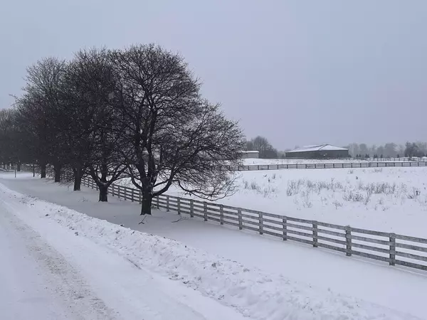 Milton, ON L0P 1B0,10207 Guelph Line