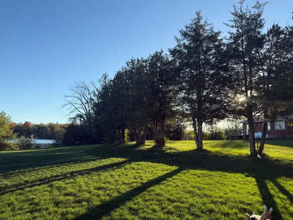 Trent Hills, ON K0L 1L0,7743 County Rd 50 N/A