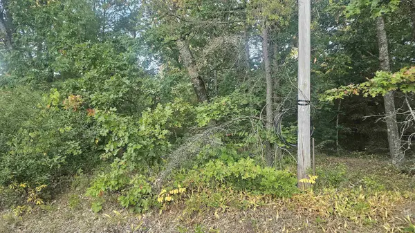 Omer, MI 48749,428 Pinnacle CT