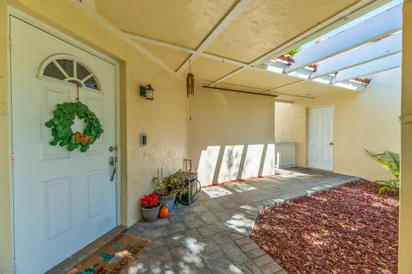 Weston, FL 33326,1347 seagrape