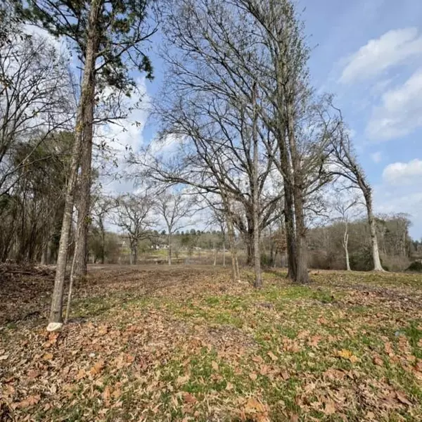 Athens, TX 75751,1002 N Hamlett Street