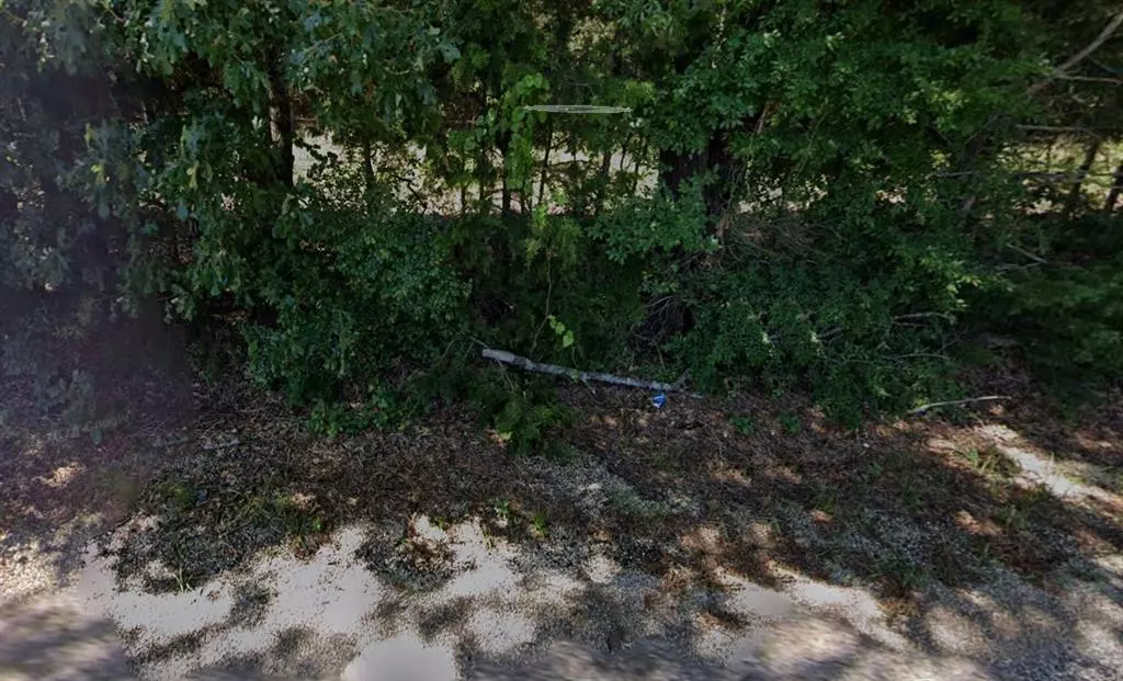 Blossom, TX 75416,1851 County Rd 44800