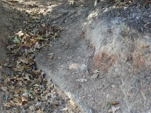 Sunset, TX 76270,1746 Dog Kennel Road