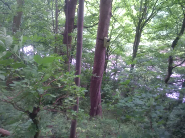 Kawartha Lakes, ON K0M 2B0,000 blanchards RD