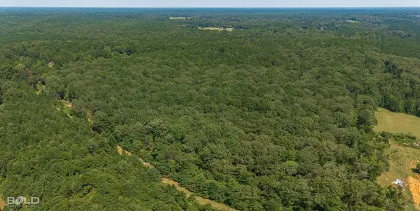 Haughton, LA 71037,1260 Oliver Road Lot 13