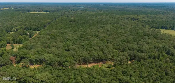 Haughton, LA 71037,1286 Oliver Road Lot 15