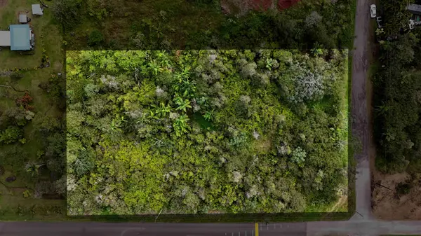 Kurtistown, HI 96760,39TH AVE