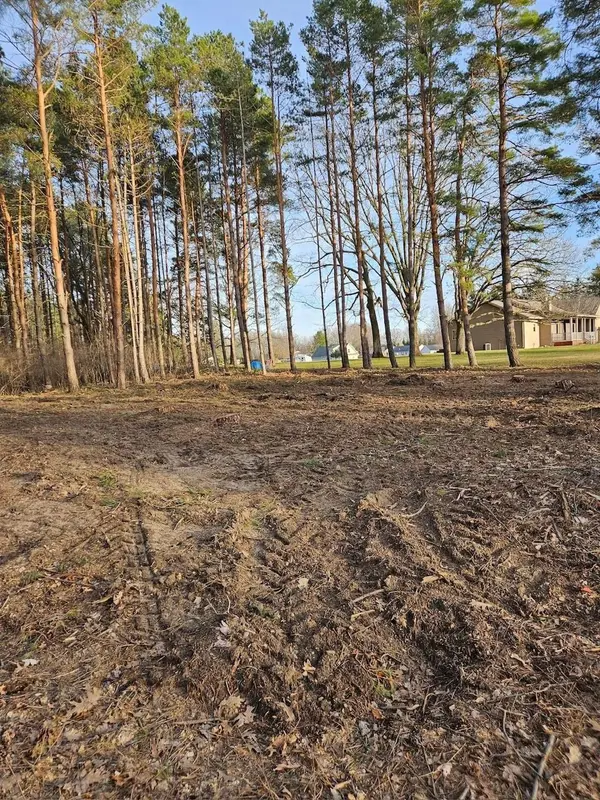 1015 Bundy RD, Lake Isabella, MI 48893