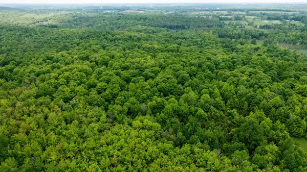 Meaford, ON N4K 5N8,N/A Sunny Valley RD