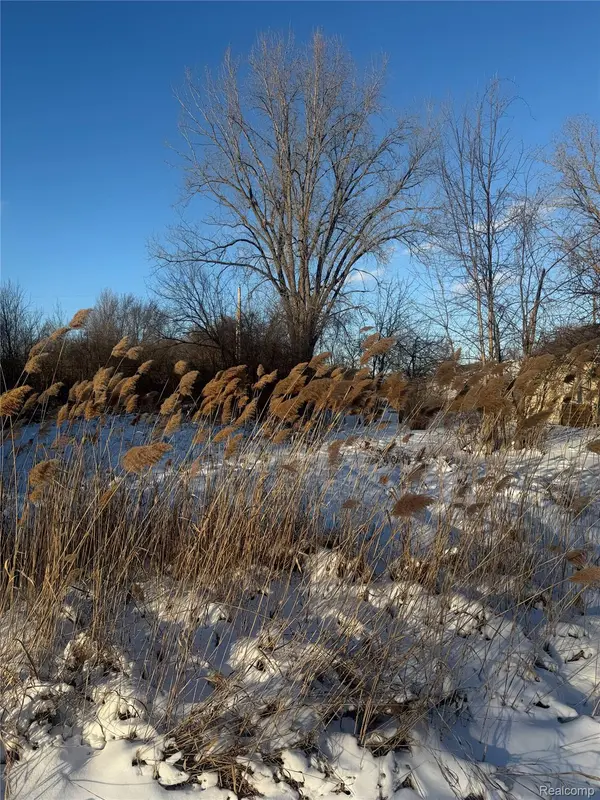 Clinton Township, MI 48035,Sublot 41 Charles