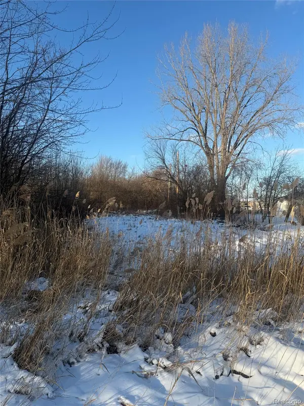 Clinton Township, MI 48035,Sublot 41 Charles