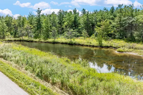 Oro-medonte, ON L0L 2E0,Pt Lt 19 Line 8N N/A