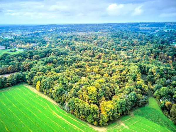 Thorold, ON L0S 1E6,154&155 Lot N/A