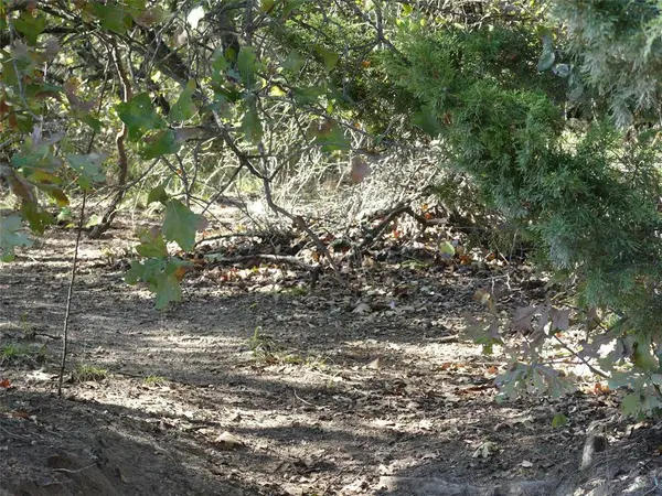 Sunset, TX 76270,1746 Dog Kennel Road