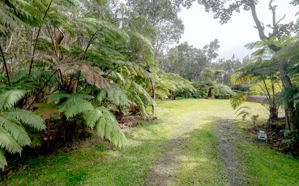 Volcano, HI 96785,11-3849 2ND ST