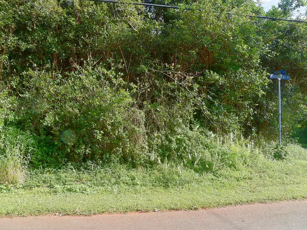 Pahoa, HI 96778,DIAMOND HEAD DR