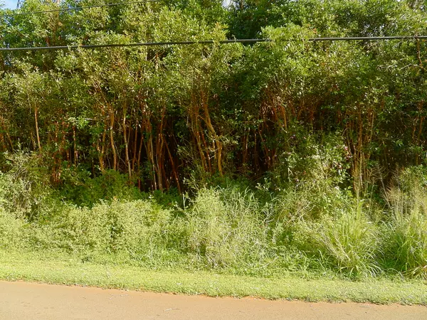 Pahoa, HI 96778,DIAMOND HEAD RD