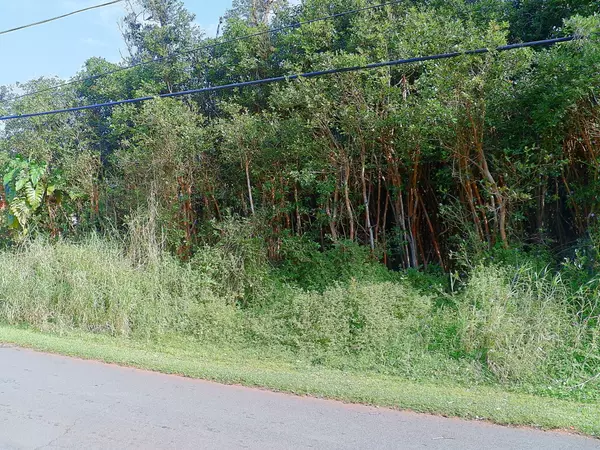 Pahoa, HI 96778,DIAMOND HEAD RD