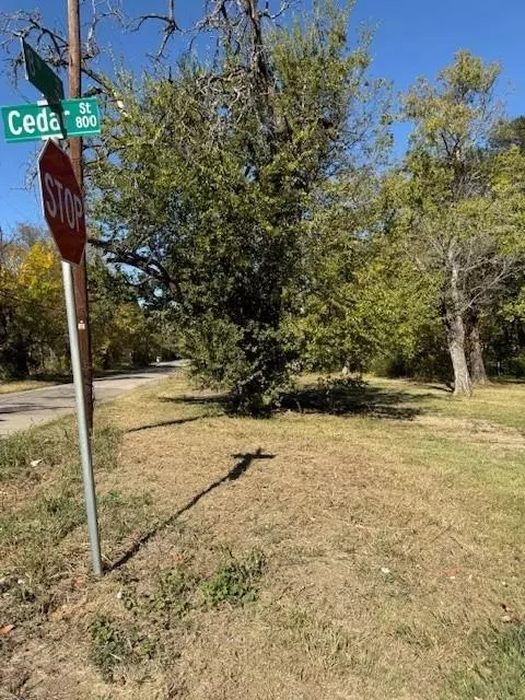 Paris, TX 75460,803 Cedar Street