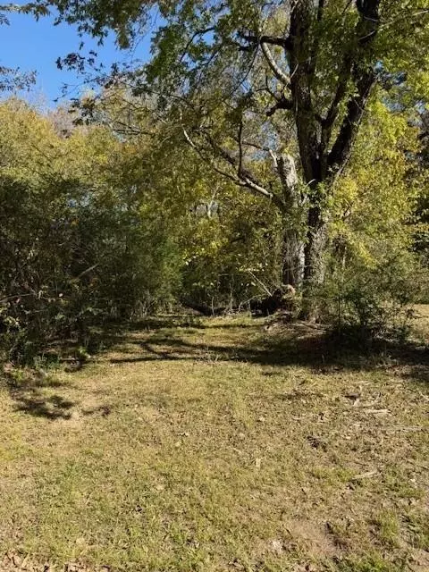 Paris, TX 75460,803 Cedar Street