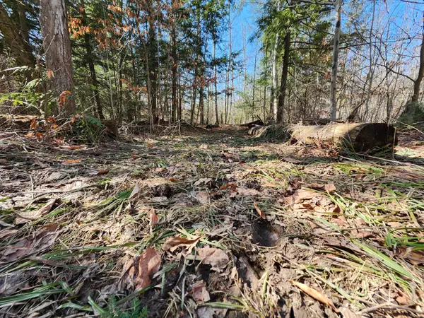 Central Huron, ON N0M 1G0,PT LT 31 CON 3 Tower Line