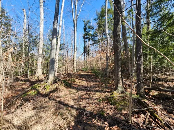 Central Huron, ON N0M 1G0,PT LT 31 CON 3 Tower Line