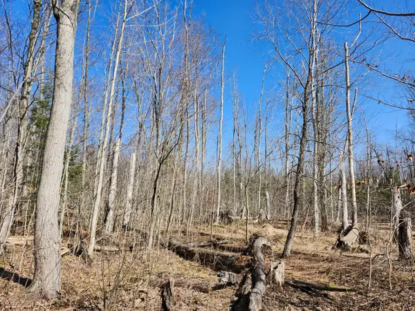 Central Huron, ON N0M 1G0,PT LT 31 CON 3 Tower Line