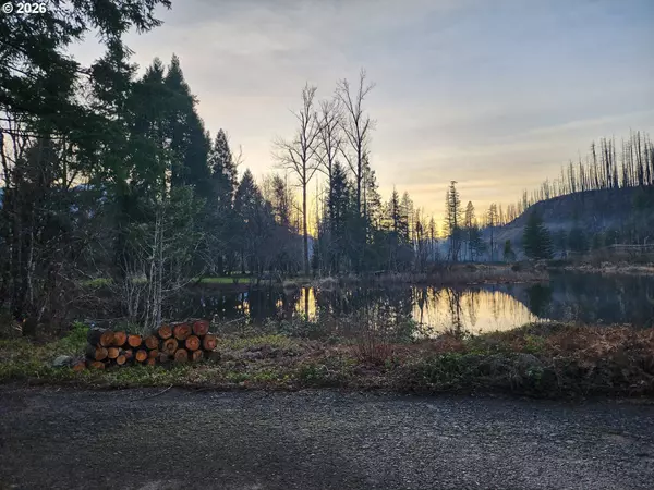 Blue River, OR 97413,54432 MCKENZIE HWY #23