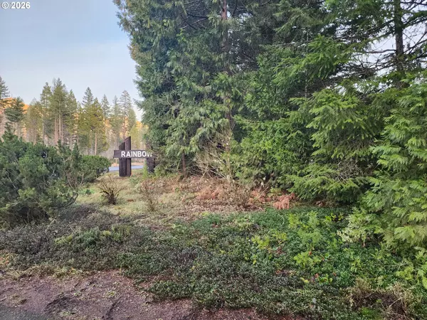 Blue River, OR 97413,54432 MCKENZIE HWY #23