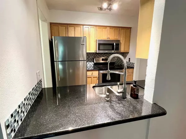 Dallas, TX 75219,4845 Cedar Springs Road #368