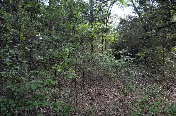 Eustace, TX 75124,760 VZ County Road #2315