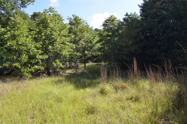 Eustace, TX 75124,760 VZ County Road #2315