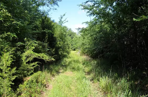 Eustace, TX 75124,760 VZ County Road #2315