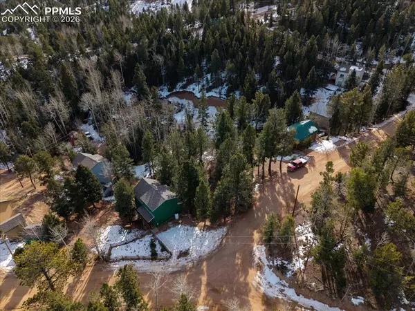 Woodland Park, CO 80863,41 Tecumseh LN