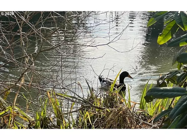 Albany, OR 97322,1905 WAVERLY (12) DR SE