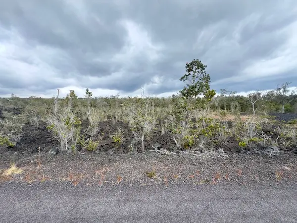 Ocean View, HI 96737,ORCHID PKWY