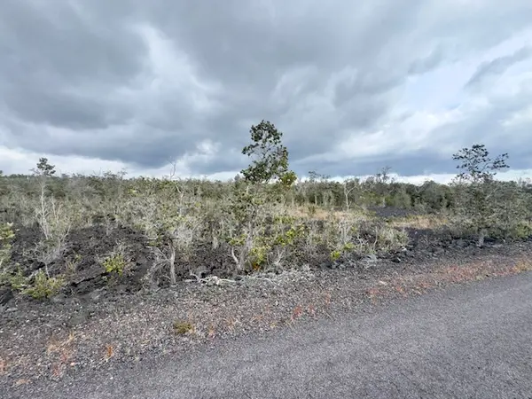 Ocean View, HI 96737,ORCHID PKWY