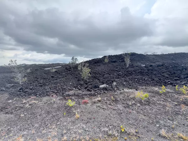 Ocean View, HI 96737,MARLIN BLVD