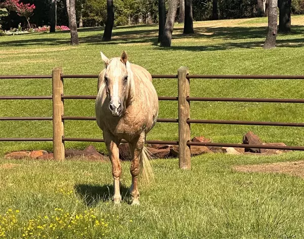 Pilot Point, TX 76258,7421 Dawn Avenue