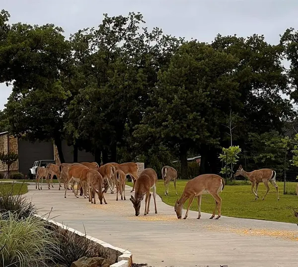 Pilot Point, TX 76258,7421 Dawn Avenue