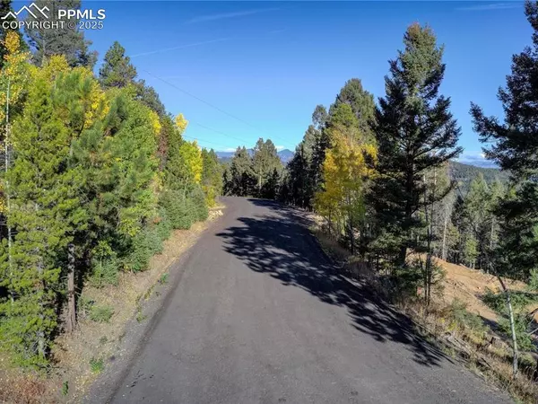 Conifer, CO 80433,12350 Powhatan TRL