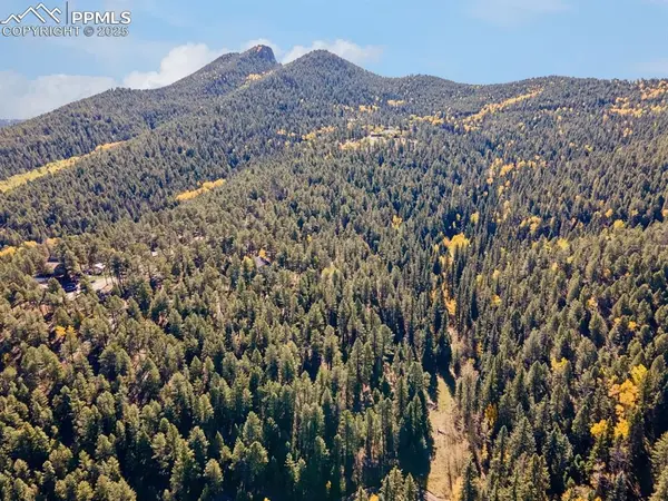 Conifer, CO 80433,12301 Black Hawk TRL