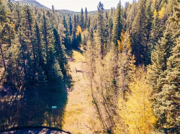 Conifer, CO 80433,12301 Black Hawk TRL