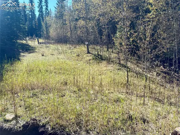 Conifer, CO 80433,12301 Black Hawk TRL