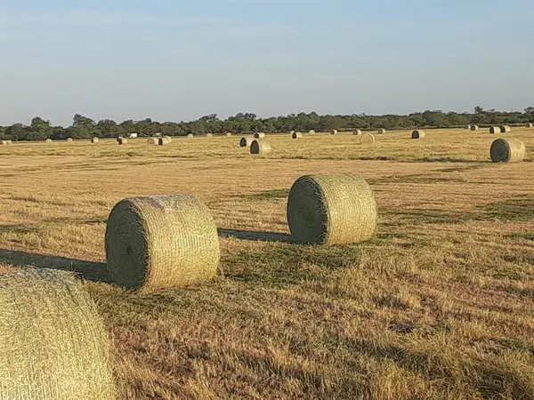 Breckenridge, TX 76424,0000 Fm 578