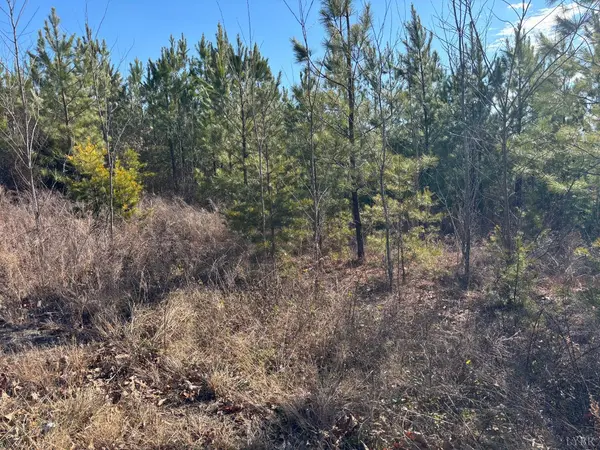 Long Island, VA 24569,0 Mohawk