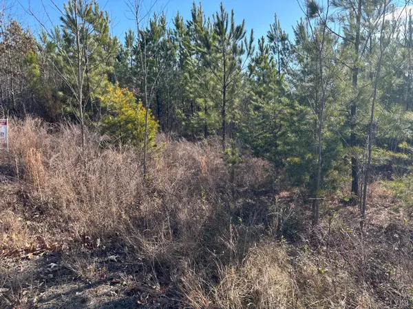 Long Island, VA 24569,0 Mohawk