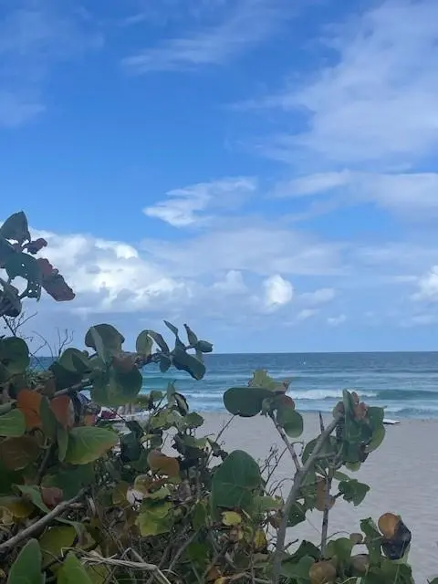 Hallandale Beach, FL 33009,2080 S Ocean Dr #505