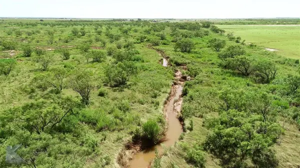 8445 County Road 226,  Avoca,  TX 79503