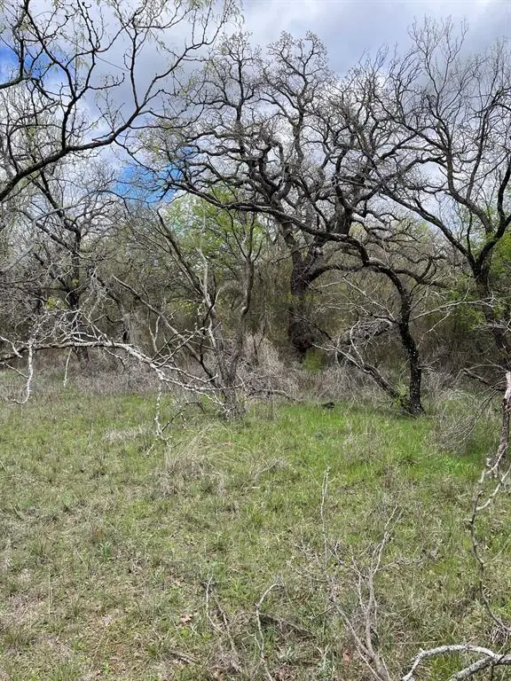 Jacksboro, TX 76458,E 17 ac Burwick Road